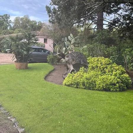 Mini-villa Individuelle De 40 M2 * 维琪奥港